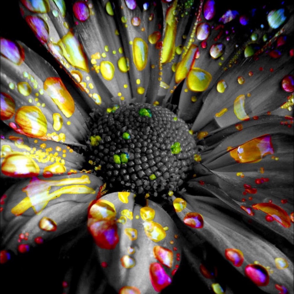 Meet your Posher, RBG